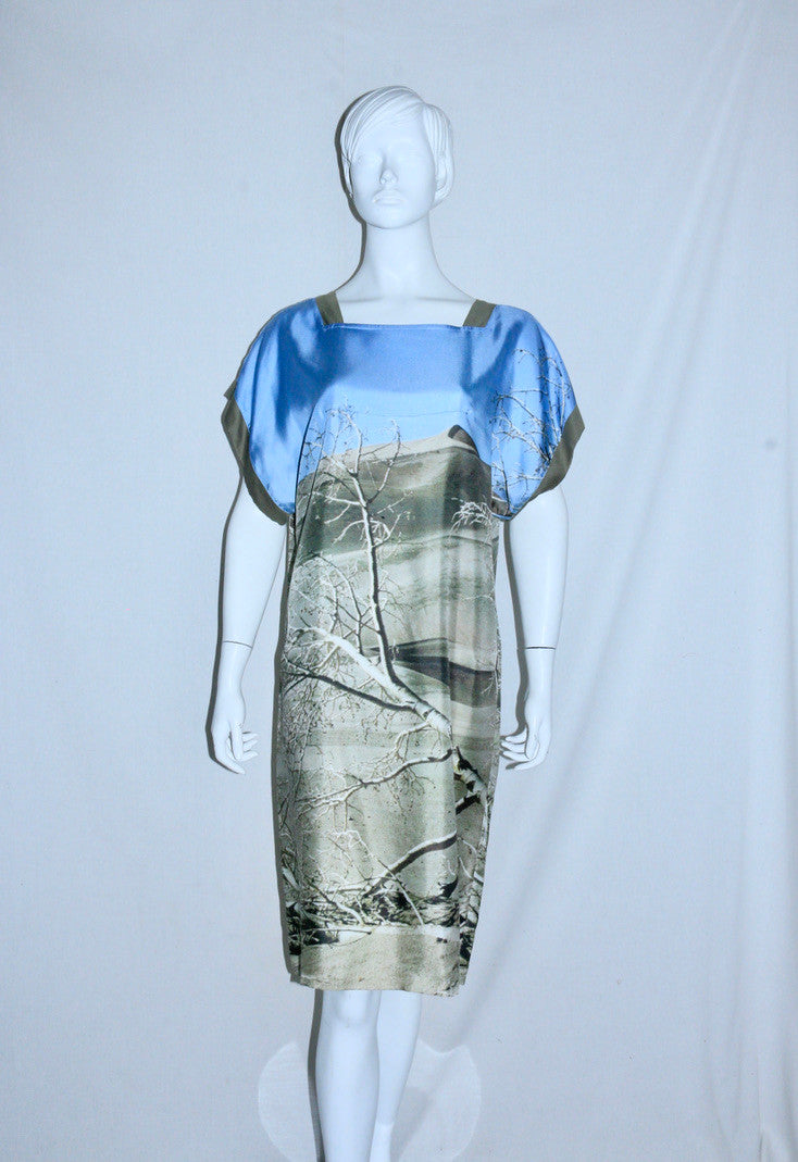 Veronique Branquinho printed dress SS09