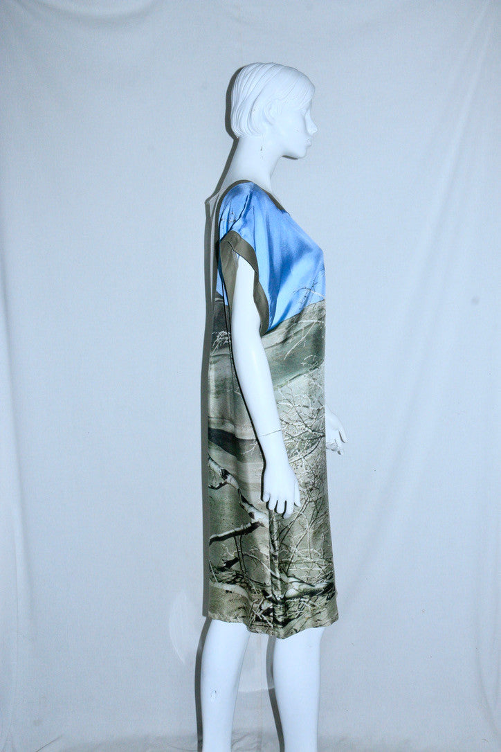 Veronique Branquinho printed dress SS09