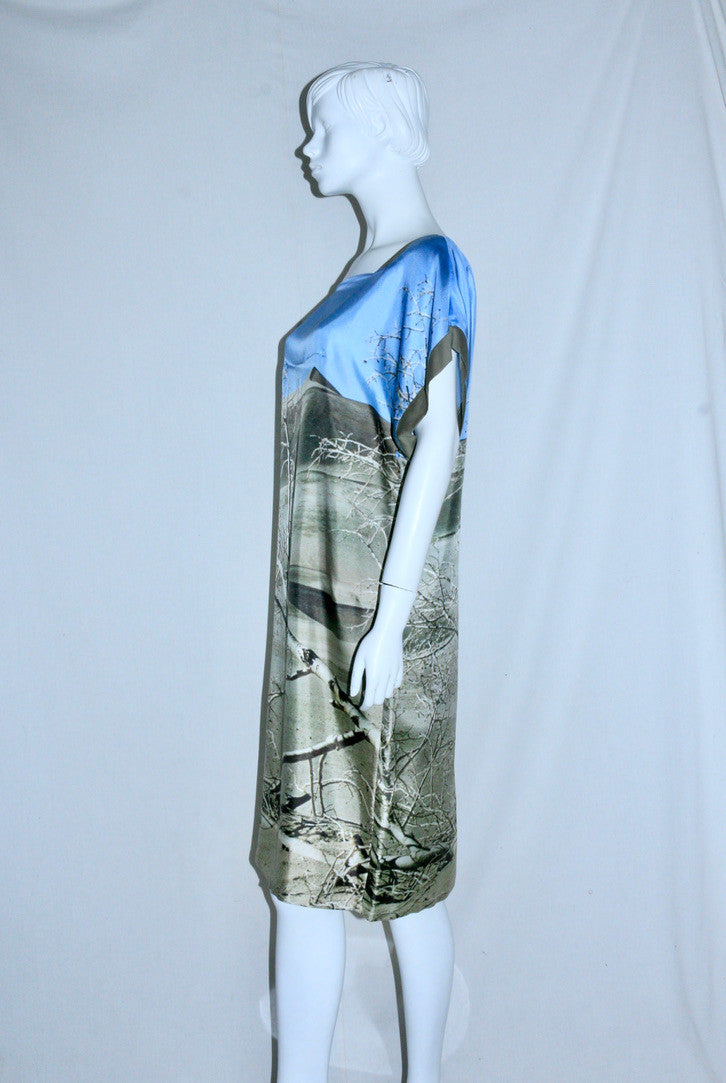 Veronique Branquinho printed dress SS09