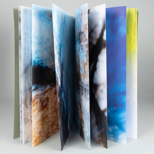 Sakura - Yoshinori Mizutani